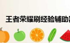 王者荣耀刷经验辅助器（王者荣耀刷经验）