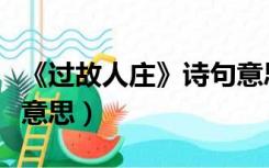 《过故人庄》诗句意思（过故人庄诗句是什么意思）