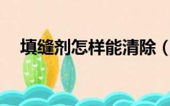 填缝剂怎样能清除（TF家族有哪些成员）