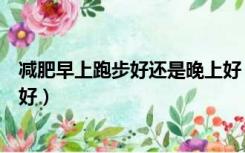 减肥早上跑步好还是晚上好（减肥早上跑步好还是晚上跑步好）