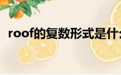 roof的复数形式是什么（roof的复数形式）
