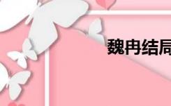 魏冉结局（魏冉）