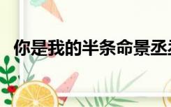 你是我的半条命景丞丞（你是我的半条命）