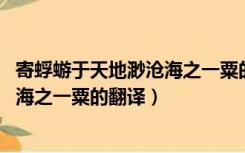 寄蜉蝣于天地渺沧海之一粟的修辞手法（寄蜉蝣于天地 渺沧海之一粟的翻译）