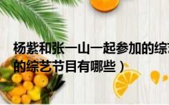 杨紫和张一山一起参加的综艺节目（杨紫和张一山一起参加的综艺节目有哪些）
