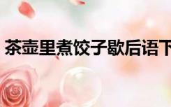 茶壶里煮饺子歇后语下一句（茶壶里煮饺子）