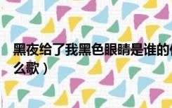 黑夜给了我黑色眼睛是谁的作品（黑夜给了我黑色眼睛是什么歌）