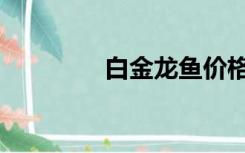 白金龙鱼价格（白金龙鱼）