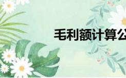 毛利额计算公式（毛利额）
