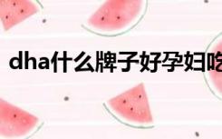 dha什么牌子好孕妇吃的（dha什么牌子好）