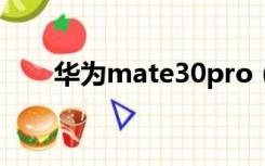 华为mate30pro（华为mates参数）