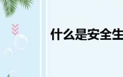 什么是安全生产？一岗双责