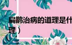 扁鹊治病的道理是什么20字（扁鹊治病的道理）
