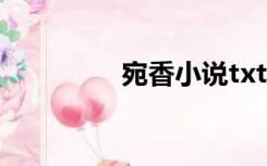 宛香小说txt（宛香小说）