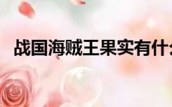 战国海贼王果实有什么能力（战国海贼王）
