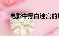 电影中黑白迷宫的那一集叫什么名字？