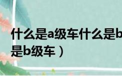 什么是a级车什么是b级车（什么是a级车什么是b级车）