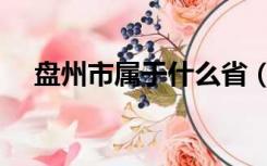 盘州市属于什么省（盘州市属于哪个市）