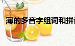 薄的多音字组词和拼音（薄的多音字组词）