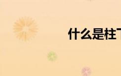 什么是柱下独立基础