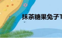 抹茶糖果兔子Teemo多少钱？