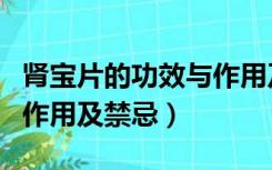 肾宝片的功效与作用及禁忌（肾宝片的功效与作用及禁忌）