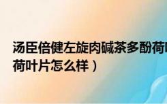 汤臣倍健左旋肉碱茶多酚荷叶片（汤臣倍健左旋肉碱茶多酚荷叶片怎么样）