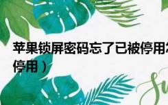 苹果锁屏密码忘了已被停用怎么办（苹果锁屏密码忘了已被停用）