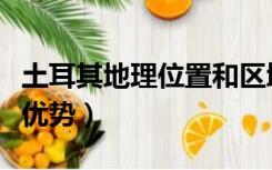 土耳其地理位置和区域特征（土耳其地理位置优势）