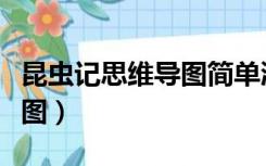 昆虫记思维导图简单漂亮画法（昆虫记思维导图）