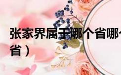 张家界属于哪个省哪个地区（张家界属于哪个省）