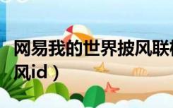 网易我的世界披风联机可见（网易我的世界披风id）