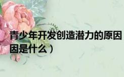 青少年开发创造潜力的原因（造成青少年创造力弱的主要原因是什么）