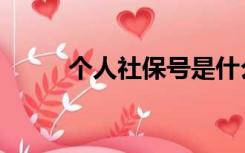 个人社保号是什么（个人社保号）