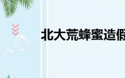 北大荒蜂蜜造假（北大荒蜂蜜）