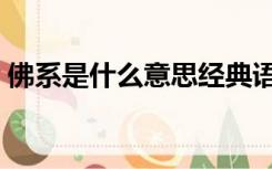 佛系是什么意思经典语录（佛系是什么意思）