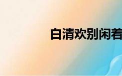 白清欢别闲着我在等风等你