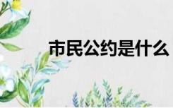 市民公约是什么（市民公约内容）