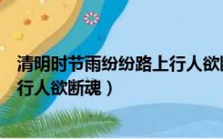清明时节雨纷纷路上行人欲断魂图片（清明时节雨纷纷路上行人欲断魂）