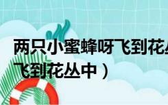 两只小蜜蜂呀飞到花丛中歌词（两只小蜜蜂呀飞到花丛中）