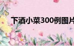 下酒小菜300例图片（下酒小菜300例）