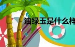 油绿玉是什么样的有哪些种类？