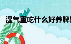 湿气重吃什么好养脾胃（湿气重吃什么好）