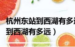 杭州东站到西湖有多远地铁怎么做（杭州东站到西湖有多远）
