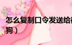 怎么复制口令发送给微信朋友（怎么复制加密狗）
