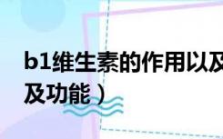 b1维生素的作用以及禁忌（b1维生素的作用及功能）