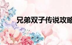 兄弟双子传说攻略（兄弟双子传说）