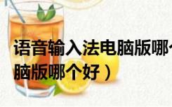 语音输入法电脑版哪个最好用（语音输入法电脑版哪个好）