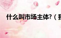 什么叫市场主体?（我为市场主体做什么）