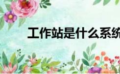 工作站是什么系统（工作站是什么）
